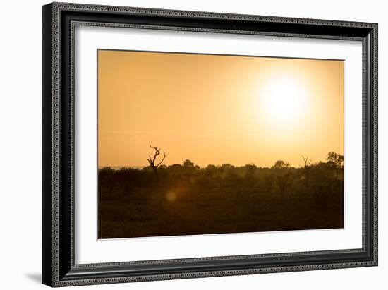 Awesome South Africa Collection - Savanna at Sunrise-Philippe Hugonnard-Framed Photographic Print