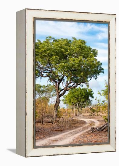 Awesome South Africa Collection - Savanna Landscape II-Philippe Hugonnard-Framed Premier Image Canvas