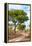 Awesome South Africa Collection - Savanna Landscape II-Philippe Hugonnard-Framed Premier Image Canvas