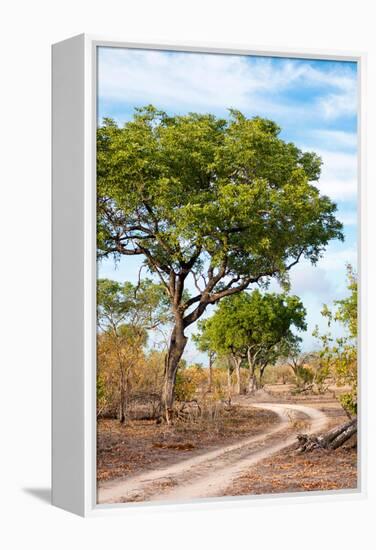 Awesome South Africa Collection - Savanna Landscape II-Philippe Hugonnard-Framed Premier Image Canvas