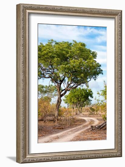 Awesome South Africa Collection - Savanna Landscape II-Philippe Hugonnard-Framed Photographic Print