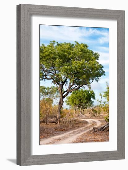 Awesome South Africa Collection - Savanna Landscape II-Philippe Hugonnard-Framed Photographic Print