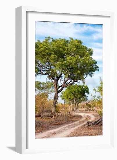 Awesome South Africa Collection - Savanna Landscape II-Philippe Hugonnard-Framed Photographic Print