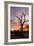 Awesome South Africa Collection - Savanna Tree at Sunrise-Philippe Hugonnard-Framed Photographic Print