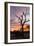 Awesome South Africa Collection - Savanna Tree at Sunrise-Philippe Hugonnard-Framed Photographic Print