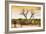 Awesome South Africa Collection - Savanna Tree at Sunset-Philippe Hugonnard-Framed Photographic Print