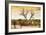 Awesome South Africa Collection - Savanna Tree at Sunset-Philippe Hugonnard-Framed Photographic Print