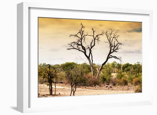 Awesome South Africa Collection - Savanna Tree at Sunset-Philippe Hugonnard-Framed Photographic Print