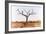 Awesome South Africa Collection - Savanna Tree IX-Philippe Hugonnard-Framed Photographic Print