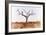 Awesome South Africa Collection - Savanna Tree IX-Philippe Hugonnard-Framed Photographic Print