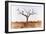 Awesome South Africa Collection - Savanna Tree IX-Philippe Hugonnard-Framed Photographic Print