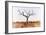 Awesome South Africa Collection - Savanna Tree IX-Philippe Hugonnard-Framed Photographic Print