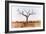 Awesome South Africa Collection - Savanna Tree IX-Philippe Hugonnard-Framed Photographic Print