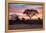 Awesome South Africa Collection - Savanna Trees at Sunrise I-Philippe Hugonnard-Framed Premier Image Canvas