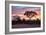 Awesome South Africa Collection - Savanna Trees at Sunrise I-Philippe Hugonnard-Framed Photographic Print