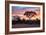 Awesome South Africa Collection - Savanna Trees at Sunrise I-Philippe Hugonnard-Framed Photographic Print