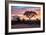 Awesome South Africa Collection - Savanna Trees at Sunrise I-Philippe Hugonnard-Framed Photographic Print