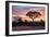 Awesome South Africa Collection - Savanna Trees at Sunrise I-Philippe Hugonnard-Framed Photographic Print