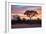 Awesome South Africa Collection - Savanna Trees at Sunrise I-Philippe Hugonnard-Framed Photographic Print