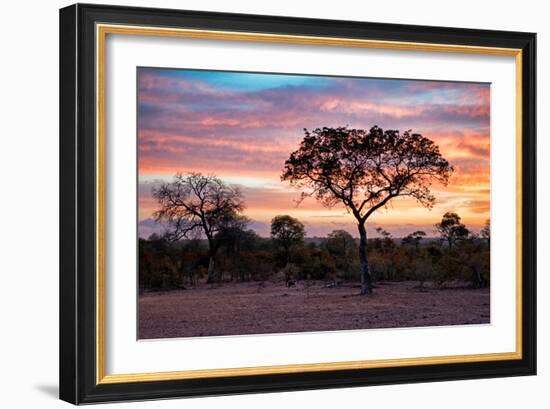 Awesome South Africa Collection - Savanna Trees at Sunrise I-Philippe Hugonnard-Framed Photographic Print