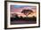 Awesome South Africa Collection - Savanna Trees at Sunrise I-Philippe Hugonnard-Framed Photographic Print