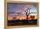 Awesome South Africa Collection - Savanna Trees at Sunrise-Philippe Hugonnard-Framed Premier Image Canvas