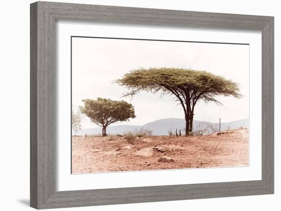 Awesome South Africa Collection - Savanna Trees XVIII-Philippe Hugonnard-Framed Photographic Print