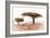 Awesome South Africa Collection - Savanna Trees XVIII-Philippe Hugonnard-Framed Photographic Print