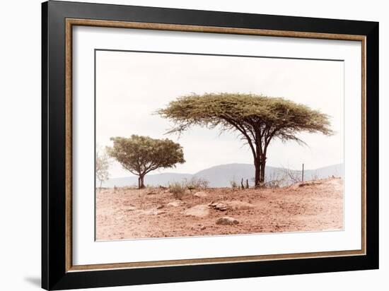 Awesome South Africa Collection - Savanna Trees XVIII-Philippe Hugonnard-Framed Photographic Print