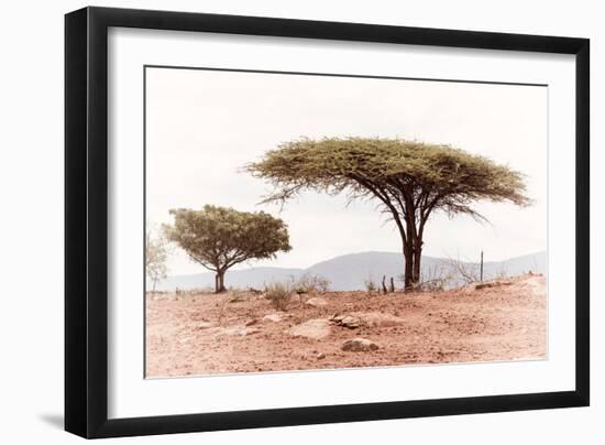 Awesome South Africa Collection - Savanna Trees XVIII-Philippe Hugonnard-Framed Photographic Print