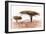 Awesome South Africa Collection - Savanna Trees XVIII-Philippe Hugonnard-Framed Photographic Print