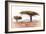 Awesome South Africa Collection - Savanna Trees XVIII-Philippe Hugonnard-Framed Photographic Print