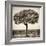 Awesome South Africa Collection Square - Acacia Tree-Philippe Hugonnard-Framed Photographic Print