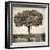 Awesome South Africa Collection Square - Acacia Tree-Philippe Hugonnard-Framed Photographic Print