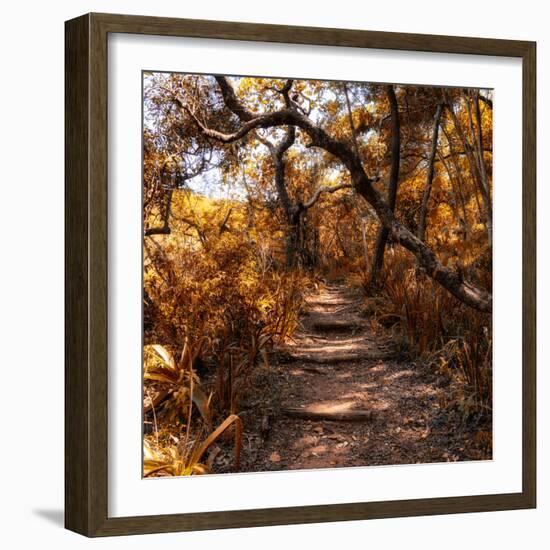 Awesome South Africa Collection Square - African Jungle II-Philippe Hugonnard-Framed Photographic Print