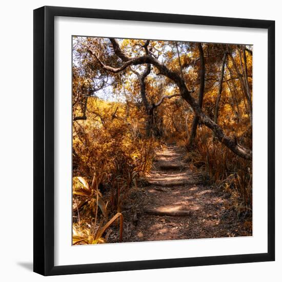Awesome South Africa Collection Square - African Jungle II-Philippe Hugonnard-Framed Photographic Print