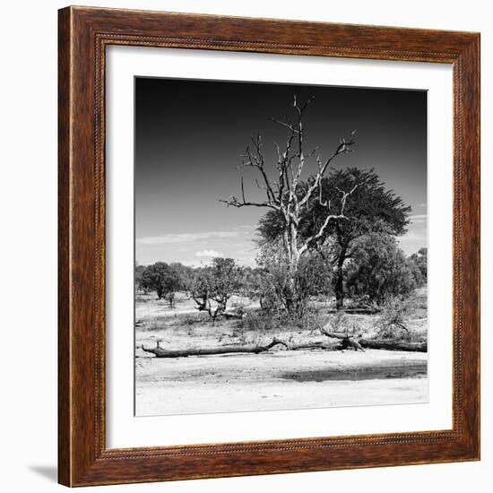 Awesome South Africa Collection Square - African Landscape IV B&W-Philippe Hugonnard-Framed Photographic Print