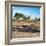 Awesome South Africa Collection Square - African Landscape with Black Rhino-Philippe Hugonnard-Framed Photographic Print