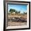 Awesome South Africa Collection Square - African Landscape with Black Rhino-Philippe Hugonnard-Framed Photographic Print