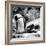 Awesome South Africa Collection Square - African Penguin B&W-Philippe Hugonnard-Framed Photographic Print