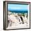 Awesome South Africa Collection Square - African Penguin-Philippe Hugonnard-Framed Photographic Print