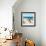 Awesome South Africa Collection Square - African Penguin-Philippe Hugonnard-Framed Photographic Print displayed on a wall