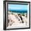 Awesome South Africa Collection Square - African Penguin-Philippe Hugonnard-Framed Photographic Print