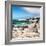 Awesome South Africa Collection Square - African Penguins at Boulders Beach III-Philippe Hugonnard-Framed Photographic Print