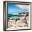 Awesome South Africa Collection Square - African Penguins at Boulders Beach III-Philippe Hugonnard-Framed Photographic Print