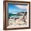 Awesome South Africa Collection Square - African Penguins at Boulders Beach III-Philippe Hugonnard-Framed Photographic Print