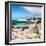 Awesome South Africa Collection Square - African Penguins at Boulders Beach III-Philippe Hugonnard-Framed Photographic Print