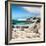 Awesome South Africa Collection Square - African Penguins at Boulders Beach III-Philippe Hugonnard-Framed Photographic Print