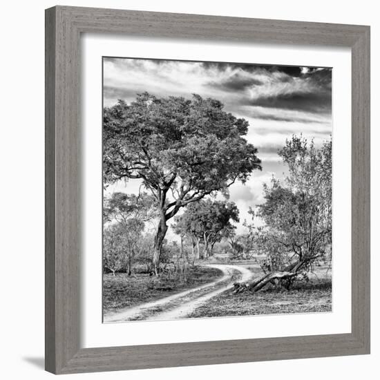 Awesome South Africa Collection Square - African Safari Road B&W-Philippe Hugonnard-Framed Photographic Print