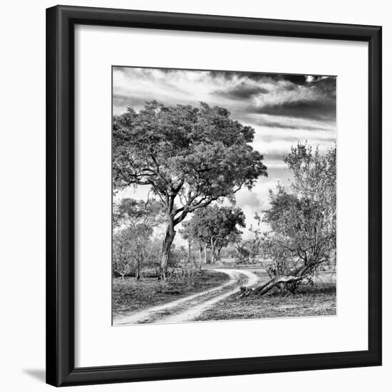 Awesome South Africa Collection Square - African Safari Road B&W-Philippe Hugonnard-Framed Photographic Print